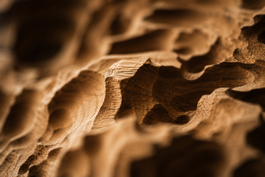 Silent Frame – Topography